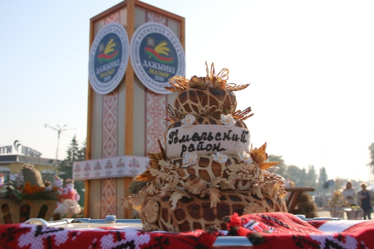 В Мозыре состоялся областной праздник «Дажынкі-2020»