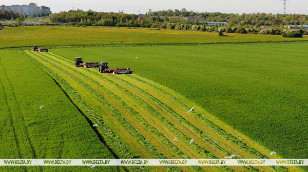 В Беларуси травы первого укоса скошены на 87,3% площадей от плана