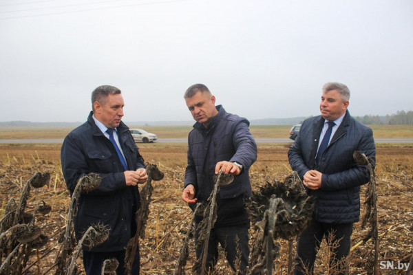 Помощник Президента — инспектор по Гомельской области Юрий Горлов оценил растениеводство и животноводство в Светлогорском районе