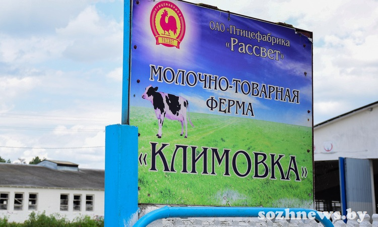 Профессионализм плюс современные подходы. Журналисты «Маяка» побывали на МТФ «Климовка» ОАО «Птицефабрика «Рассвет»