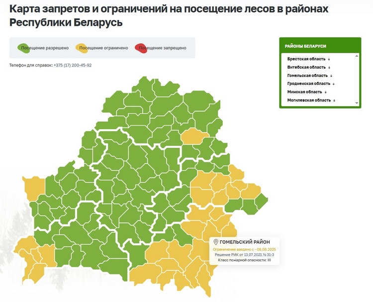 Ограничения на посещение лесов действуют в Гомельском районе