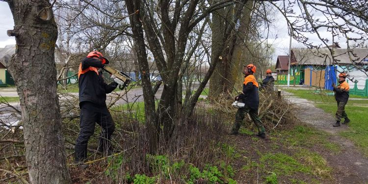 Помощь идёт от сердца: поддержка Коренёвской экспериментальной лесной базы