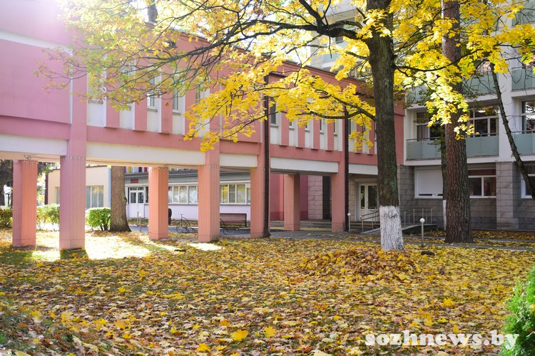 Санаторий «Машиностроитель» — здоровье и красота круглый год