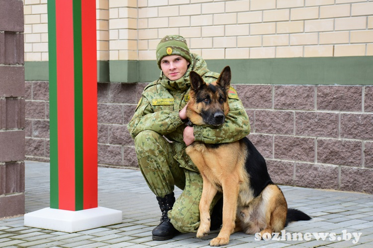Как работают пограничные собаки: подготовка, тренировки и служебные обязанности