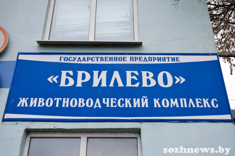 Вячеслав Струк: врученная награда — общая заслуга нашего коллектива