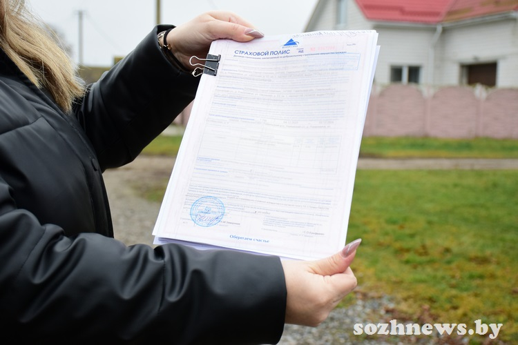 Почему жители Гомельского района доверяют Алле Замареевой в вопросах страхования