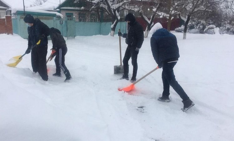 Помощь в общем деле: совместная уборка снега в Гомельском районе