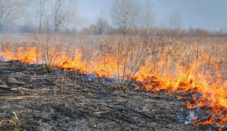 В Гомельском районе зарегистрировано 23 загорания сухой растительности