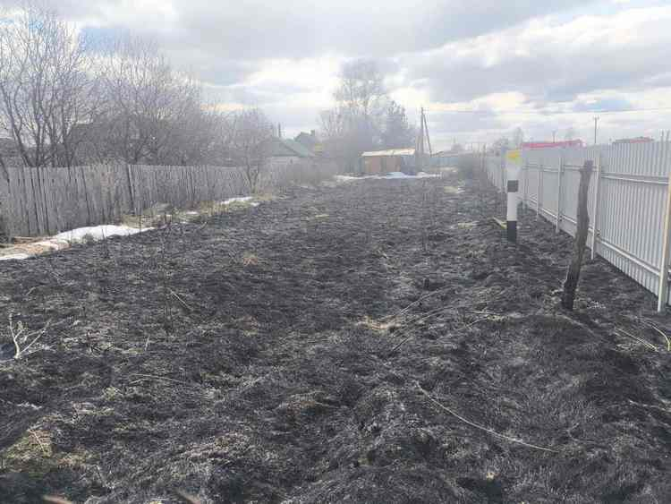 За минувшие сутки на территории Гомельского района зафиксировано два пожара травы и кустарников