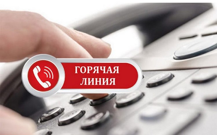 В КГК Гомельской области пройдет «горячая линия» по контролю продаж имущества госпредприятий