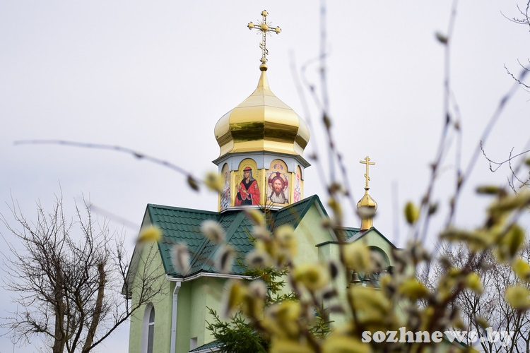 Настоятель Чёнковского храма Виталий рассказывает о традициях Вербного воскресенья
