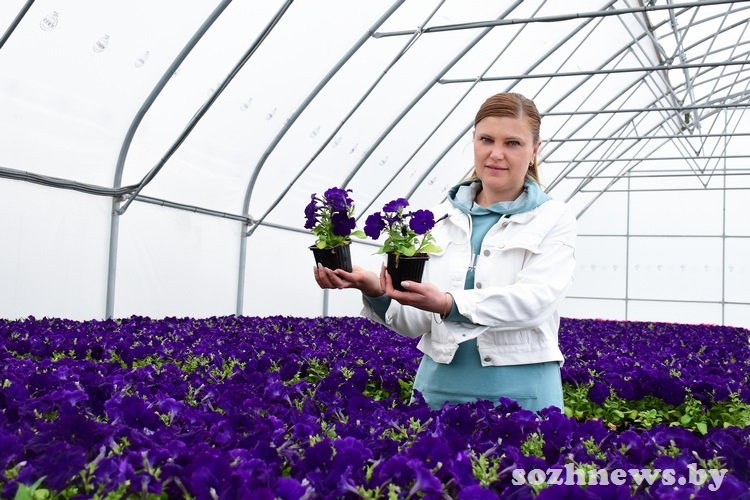 Продукция КФХ «Наш питомник» востребована далеко за пределами Гомельской области